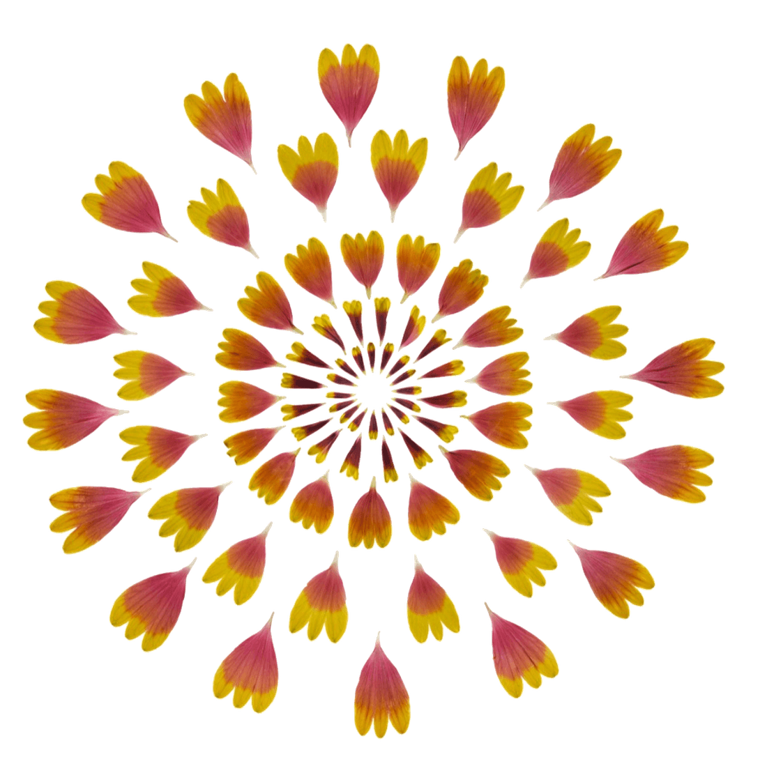 Mandala - Yoga et Expression Plurielle